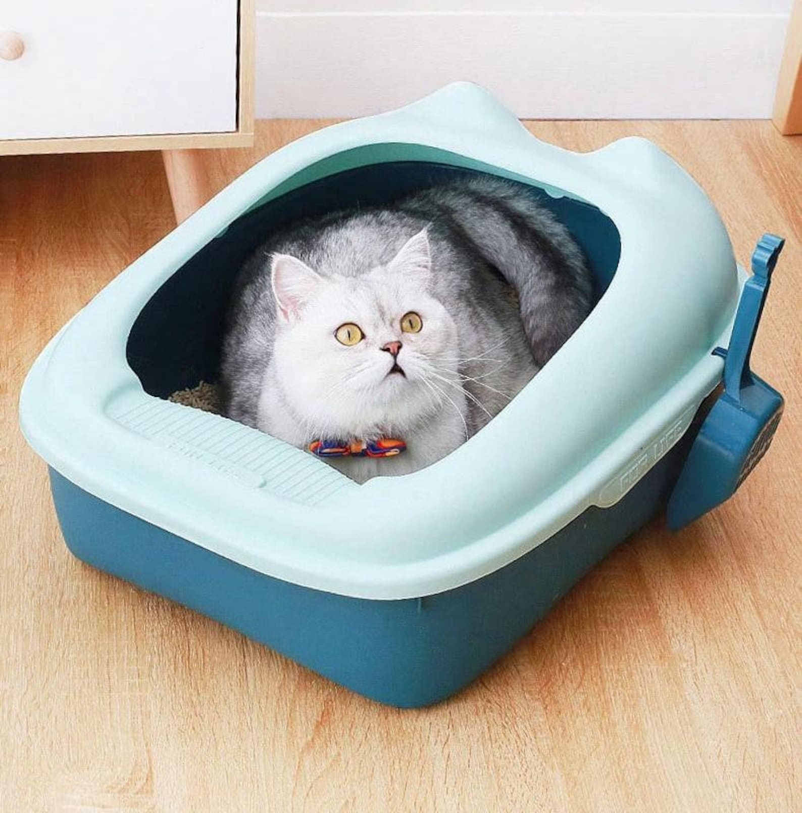 Cute Litter Box Cat Autolimpiable Large Plastics Indoor Etsy