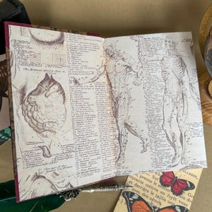 Puede incluir: Cuaderno abierto con ilustraciones anat&oacute;micas del cuerpo humano. Las p&aacute;ginas presentan dibujos detallados de m&uacute;sculos y estructuras esquel&eacute;ticas, con etiquetas y texto manuscritos. La cubierta es de color burdeos oscuro.
