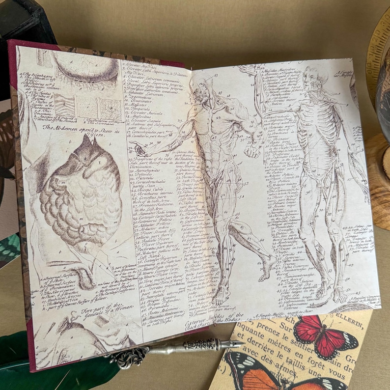 Puede incluir: Cuaderno abierto con ilustraciones anat&oacute;micas del cuerpo humano. Las p&aacute;ginas presentan dibujos detallados de m&uacute;sculos y estructuras esquel&eacute;ticas, con etiquetas y texto manuscritos. La cubierta es de color burdeos oscuro.