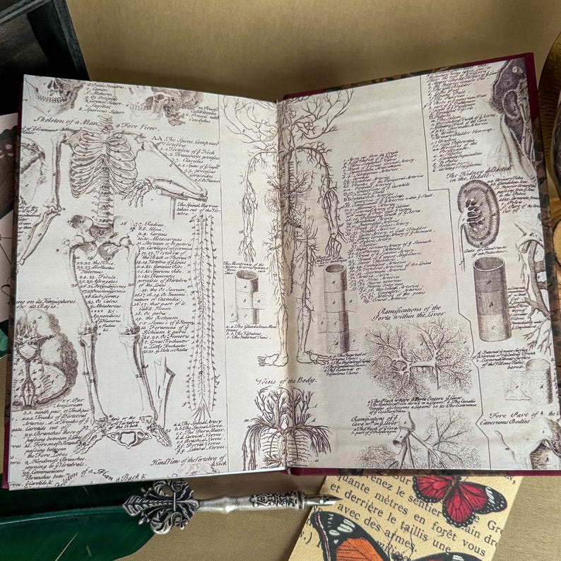 Puede incluir: Diario abierto con ilustraciones anat&oacute;micas del cuerpo humano, incluyendo el esqueleto y el sistema vascular. Las p&aacute;ginas tienen un aspecto envejecido. Se ve un bol&iacute;grafo decorativo y una tarjeta con tema de mariposas.