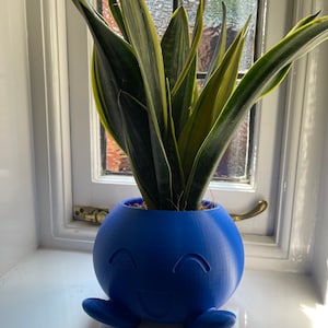 May include: A blue 3D printed planter shaped like a smiling cartoon character with arms and legs, holding a green and yellow snake plant.