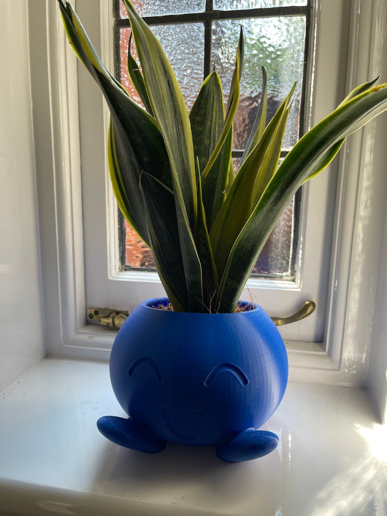 May include: A blue 3D printed planter shaped like a smiling cartoon character with arms and legs, holding a green and yellow snake plant.