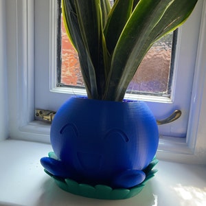 May include: A blue and green 3D printed planter shaped like a smiling cartoon character with a snake plant growing inside.