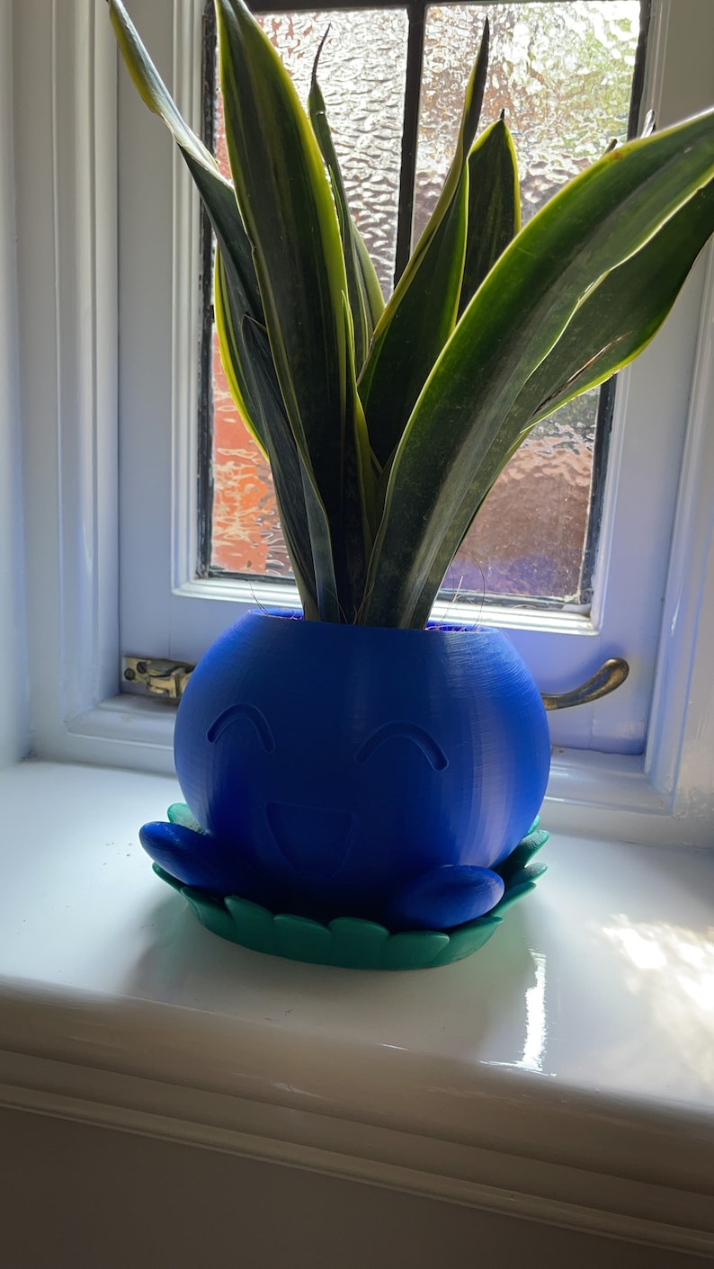May include: A blue and green 3D printed planter shaped like a smiling cartoon character with a snake plant growing inside.