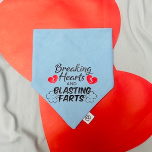 Breaking Hearts and Blasting Farts Dog Bandana, Valentines Dog Bandana, Funny Dog Bandana, Valentine Cat, Cat Bandana, Valentine Dog
