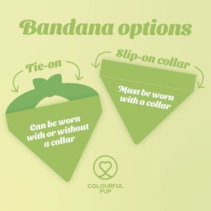 May include: Two green bandana options for dogs. The first is a tie-on bandana that can be worn with or without a collar. The second is a slip-on collar bandana that must be worn with a collar. The text "COLOURFUL PUP" is at the bottom of the image.