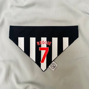 May include: Black and white striped dog bandana with the name "Reggie" and the number "7" in red. The bandana has a small black and white heart tag.
