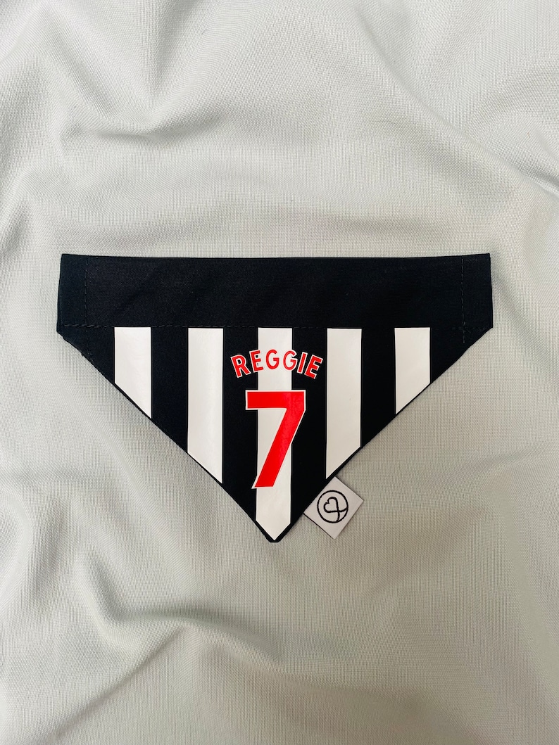 May include: Black and white striped dog bandana with the name "Reggie" and the number "7" in red. The bandana has a small black and white heart tag.