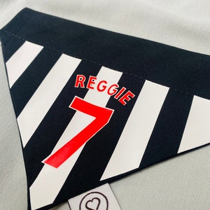May include: Black and white striped fabric with a red number 7 and the name Reggie printed in white. A small white tag with a heart symbol is attached to the fabric.