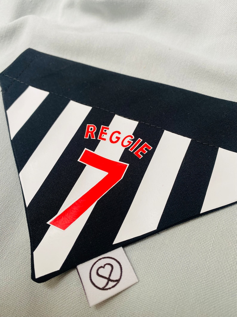May include: Black and white striped fabric with a red number 7 and the name Reggie printed in white. A small white tag with a heart symbol is attached to the fabric.