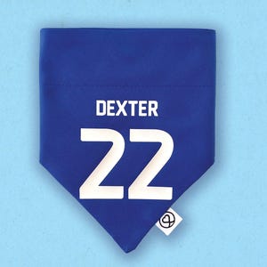 Personalised Football Shirt Dog Bandana, Birmingham City, All Leagues and Teams Available on Request
