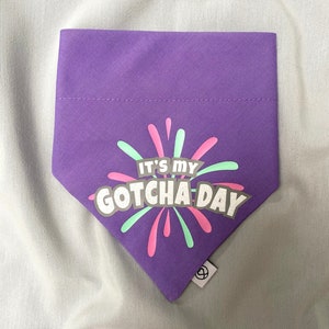 It’s my Gotcha Day Bandana, Gotcha Day Cat, Dog Birthday, Cat Birthday, Party Dog Bandana, Gotcha Day Dog, Three Colours Available