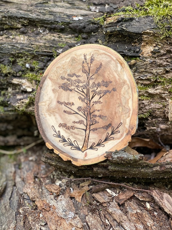 Pine Tree Wood Burn Art Wood Burning Pyrography Wooden Decor Etsy