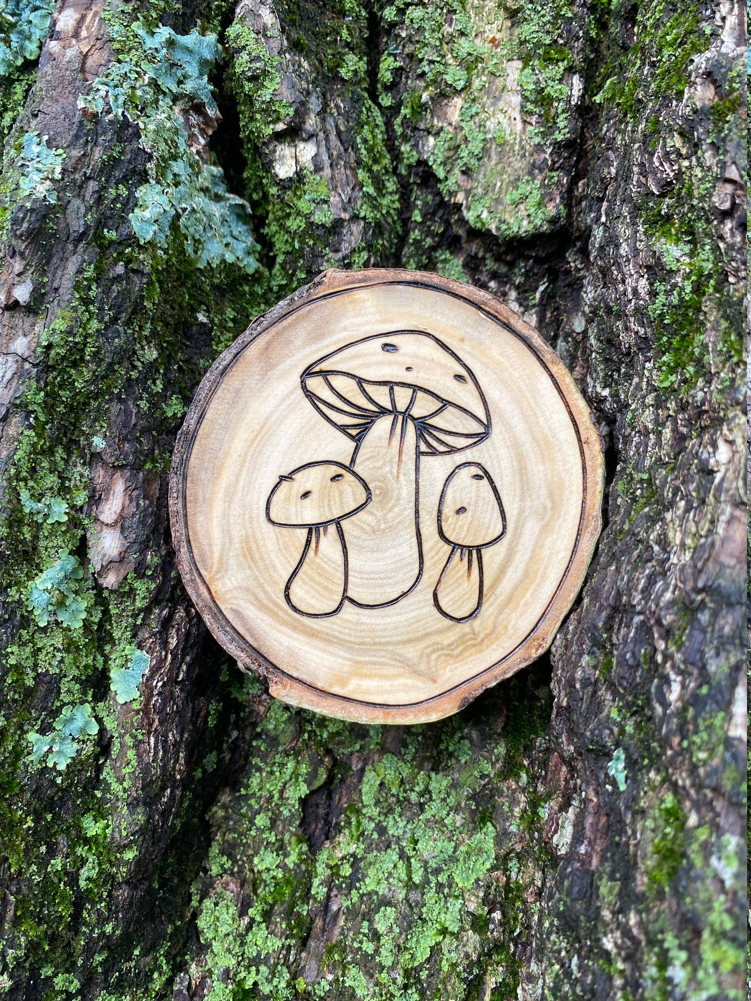 Mushroom Wood Burn Art Cottagecore Wood Burning Green Witch Etsy UK