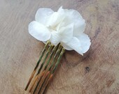 Stabilized flower pine, hairpin stabilized flowers, Dried white flower pin, wedding pine, gifts,