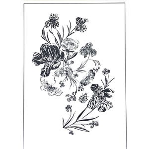 Carte Postale "Curiosités"