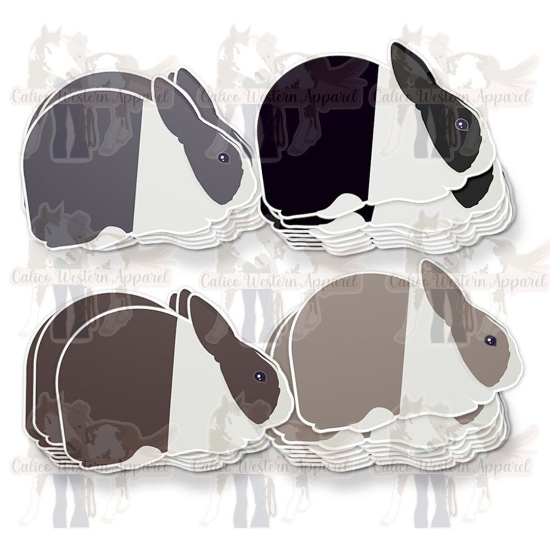 DUTCH RABBIT PACK - Etsy
