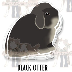 May include: A black and white rabbit with floppy ears. The rabbit is sitting on a white background. The text "BLACK OTTER" is below the rabbit.