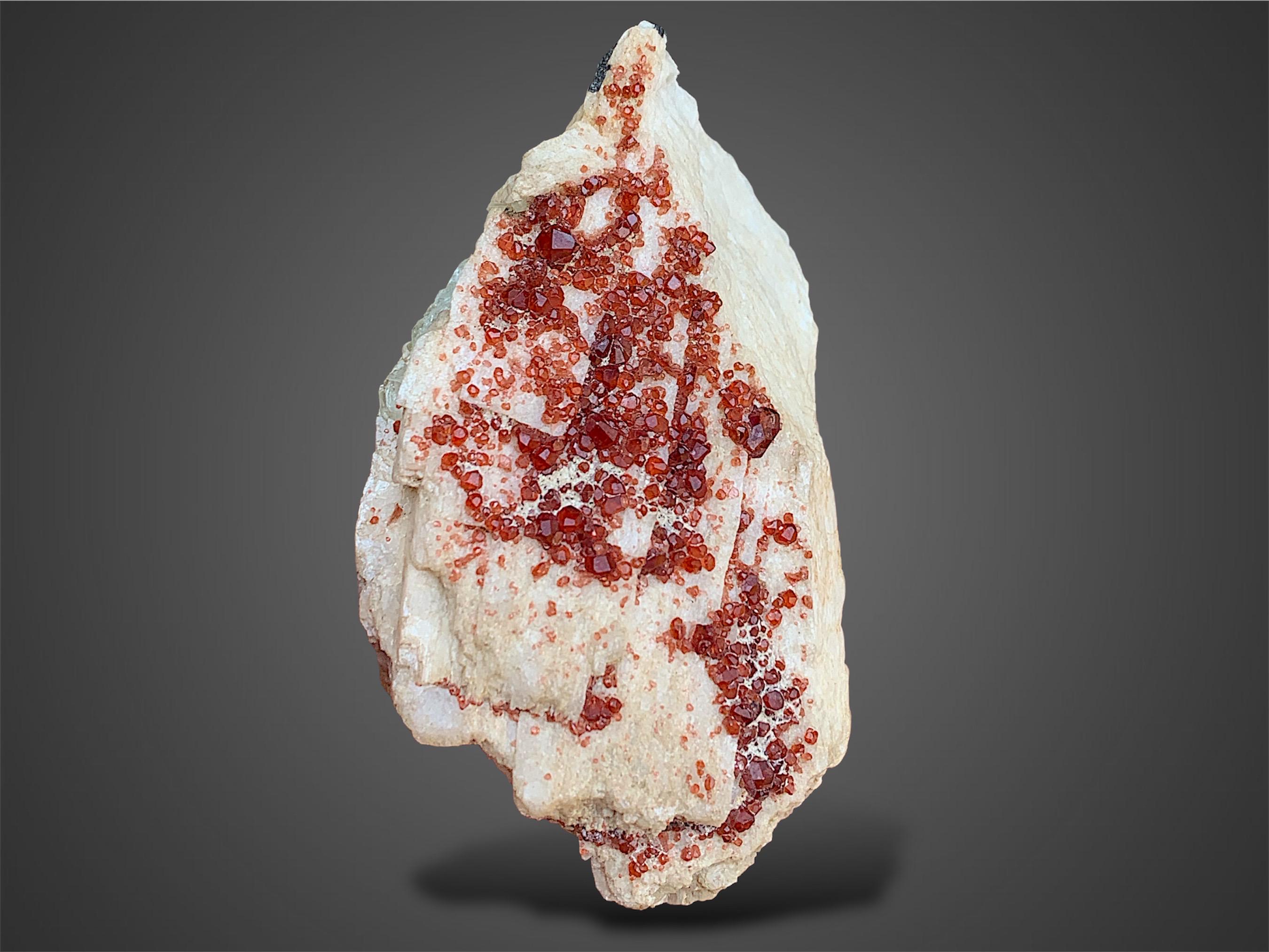 Natural Spessartine Garnet Crystal Cluster in Albite, Red Garnet