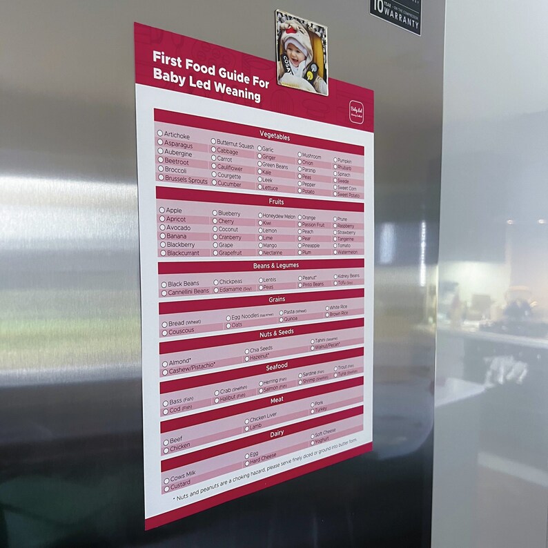 Babys First 100 Foods Chart Baby-led Weaning First Foods Checklist Baby