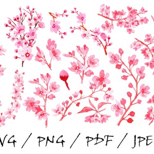 Kirschblüte, Floral SVG, Sakura Aquarell Clipart, Sakura PNG, Sakura Blüte, Kirsche, Blume Clipart, Aquarell Sublimation PNG, svg
