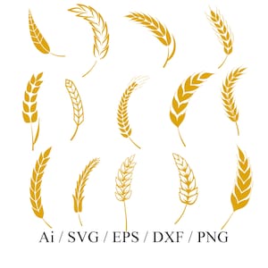 Graan goud SVG, hand getrokken graan SVG bundel, tarwe SVG, gerst SVG, boerderij SVG clipart vector PNG DXF EPS AI SVG