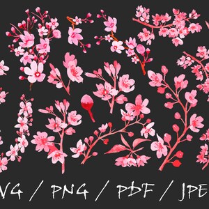 Kirschblüte, Blumen SVG, Kirschblüten Art Floral svg, Sakura Aquarell Clipart, Sakura PNG, Sakura Blüte, Kirsche, Blumen Aquarell