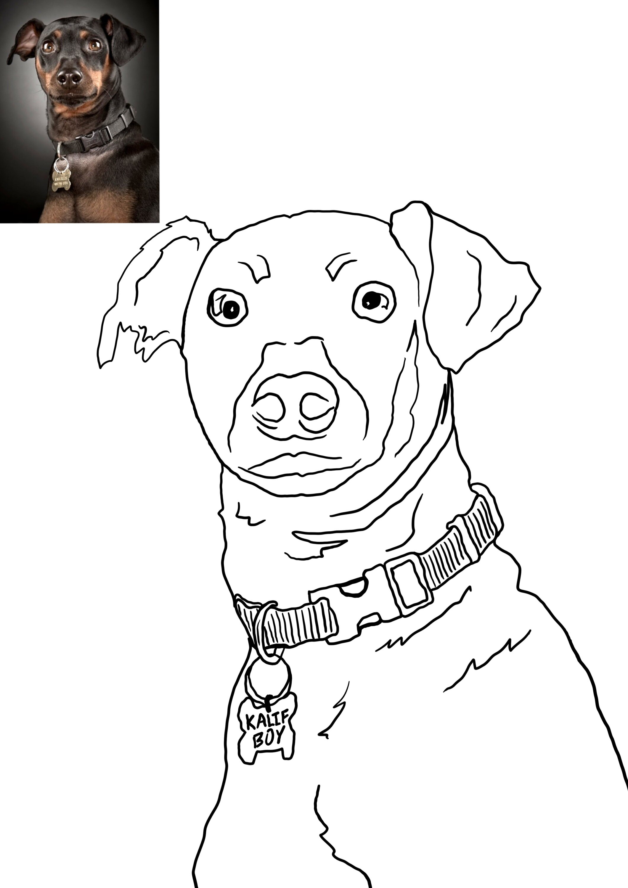 Custom Pet Portrait Custom Line Art Pet Portrait Drawing Etsy