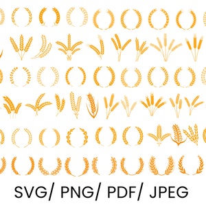 Paquete SVG de trigo dorado, SVG de trigo dorado, svg de grano de oro, SVG de trigo, svg de grano, grano, iconos, imágenes prediseñadas de trigo, silueta de trigo, oro vectorial
