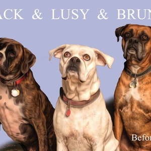 Pet Portrait Custom and Personalized. Pet Dog , cat and other pet Wall Art DIGITAL DOWNLOAD to Print on Poster or Canvas for gift.