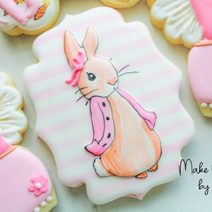 2 Dozen Baby Shower Girl Cookies (Peter Rabbit Girl Easter Theme)