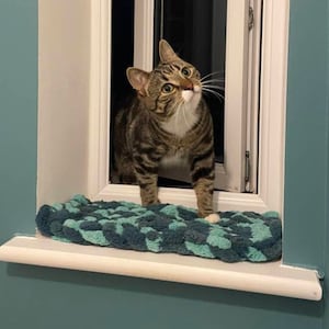 Pode incluir: Um gato tigrado com marcas brancas olha para fora de uma janela com moldura azul. O gato est&aacute; em p&eacute; sobre um tapete estampado azul e verde.