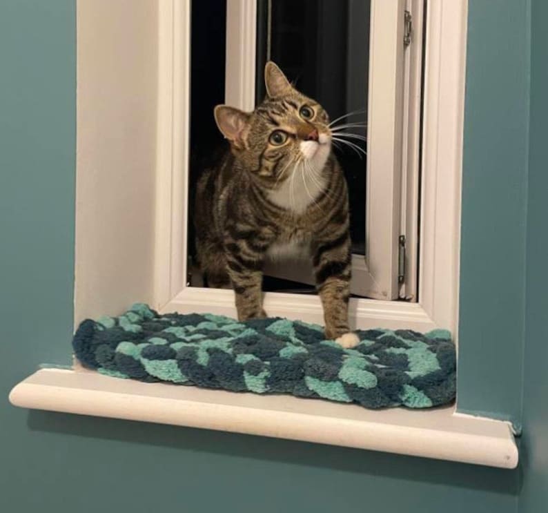 Pode incluir: Um gato tigrado com marcas brancas olha para fora de uma janela com moldura azul. O gato est&aacute; em p&eacute; sobre um tapete estampado azul e verde.