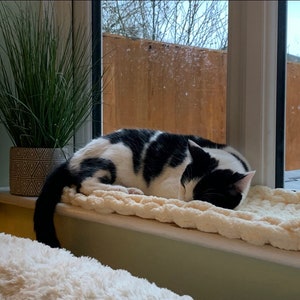 Pode incluir: Um gato preto e branco dormindo em uma cama branca e fofa em um parapeito de janela. Uma planta em vaso est&aacute; no parapeito da janela &agrave; esquerda do gato.