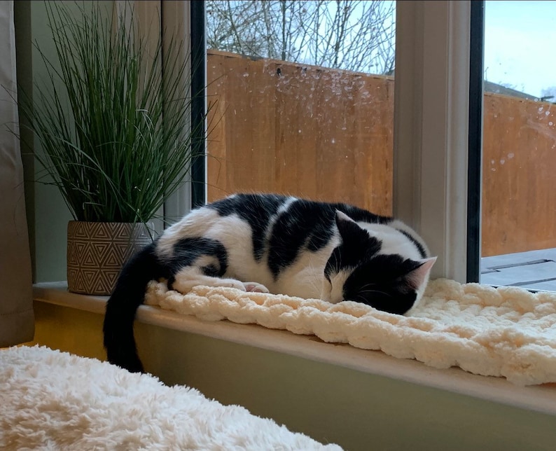 Pode incluir: Um gato preto e branco dormindo em uma cama branca e fofa em um parapeito de janela. Uma planta em vaso est&aacute; no parapeito da janela &agrave; esquerda do gato.