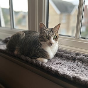 Pode incluir: Um gato tigrado com marcas brancas est&aacute; deitado em uma cama de tric&ocirc; cinza. O gato est&aacute; olhando para a direita do quadro. O gato est&aacute; descansando em um peitoril da janela.