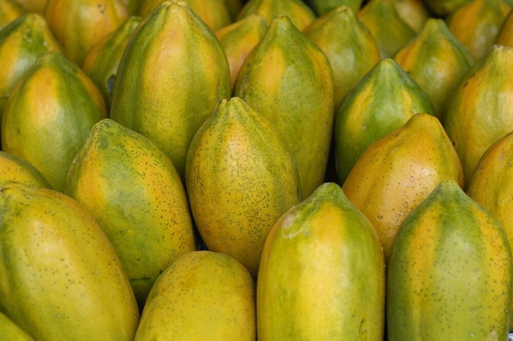 Papaya 2 counts USPS Priority shipping included Etsy