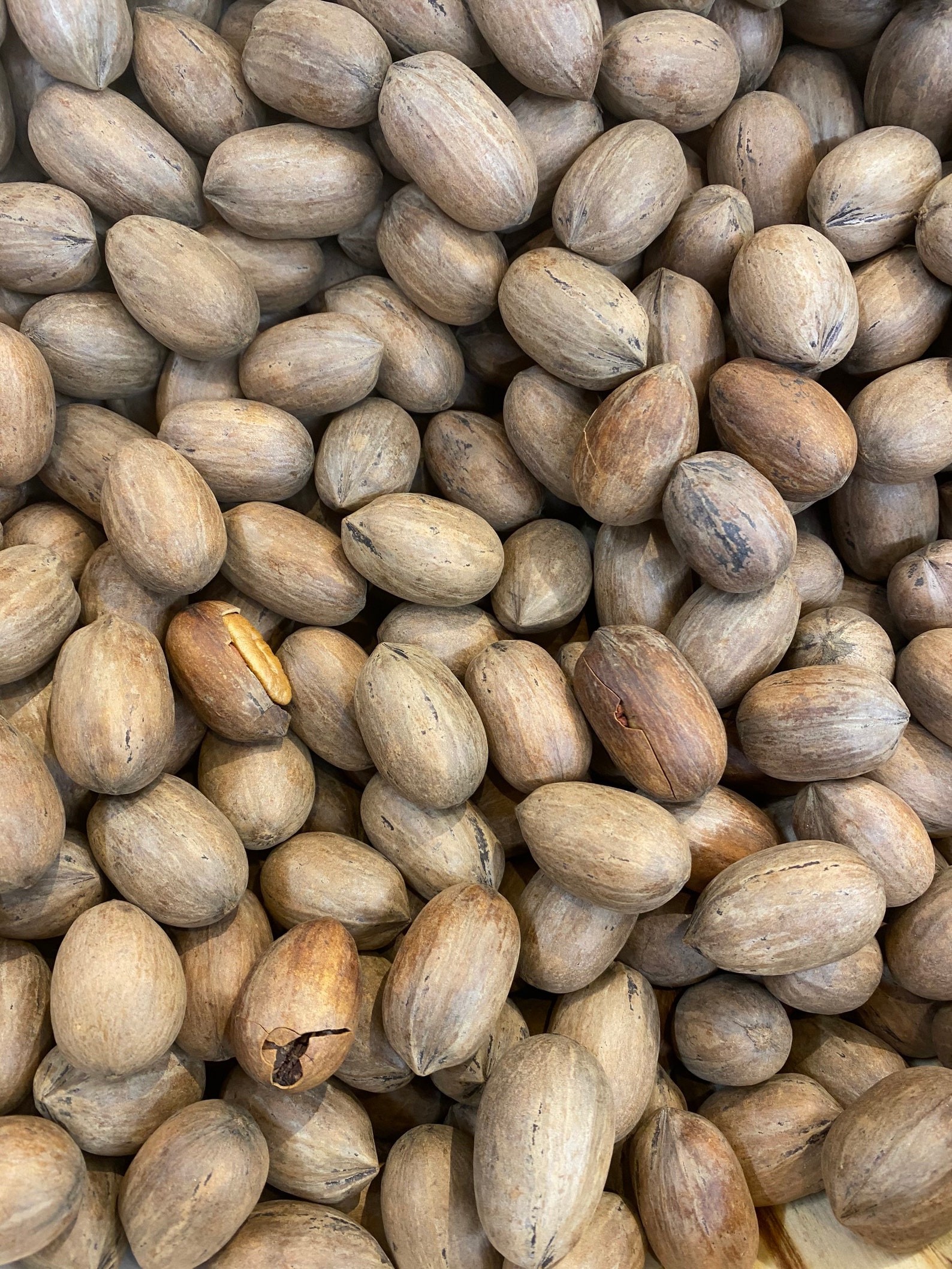 Organic whole Walnuts InShell 5Lbs USPS Priority shipping Etsy