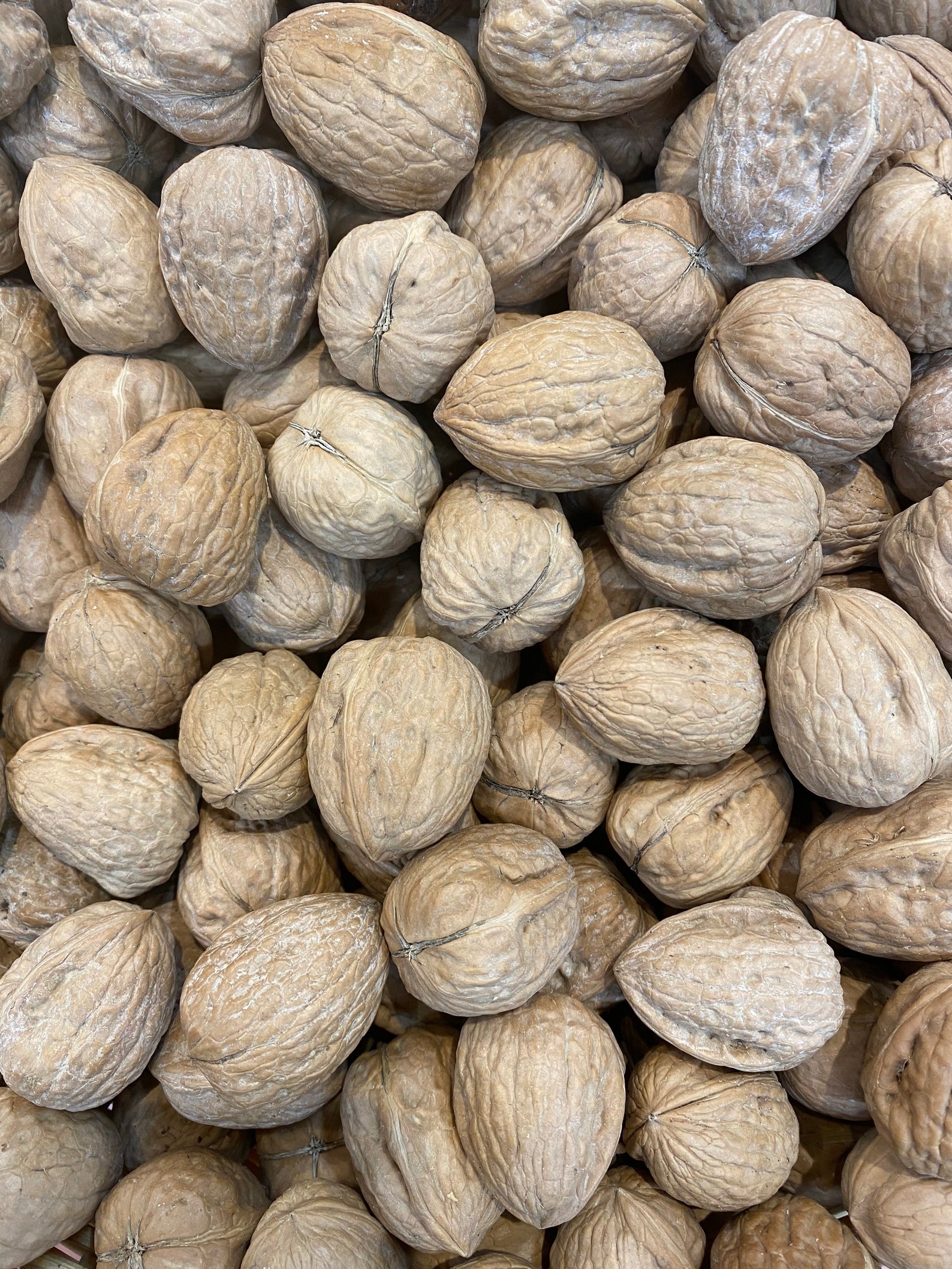 Organic whole Walnuts InShell 5Lbs USPS Priority shipping Etsy