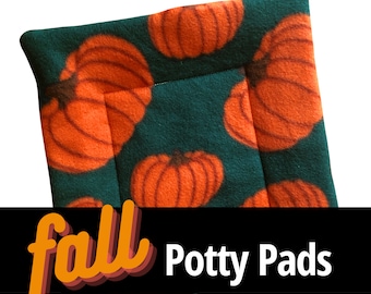Fall Pumpkin Guinea Pig Pee Pad, Fleece Cage Liner