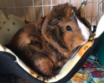 Fleece Guinea Pig Hammock, Small Pet Hanging Bed