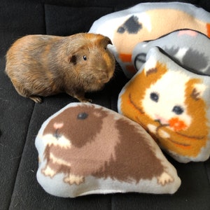 Guinea Pig Pillow: Fleece Cage Accessory