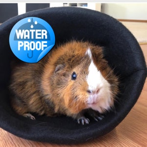 May include: A brown and white guinea pig with a white patch on its face is sitting in a black, round, waterproof bed. The bed has a blue label that says "WATERPROOF".