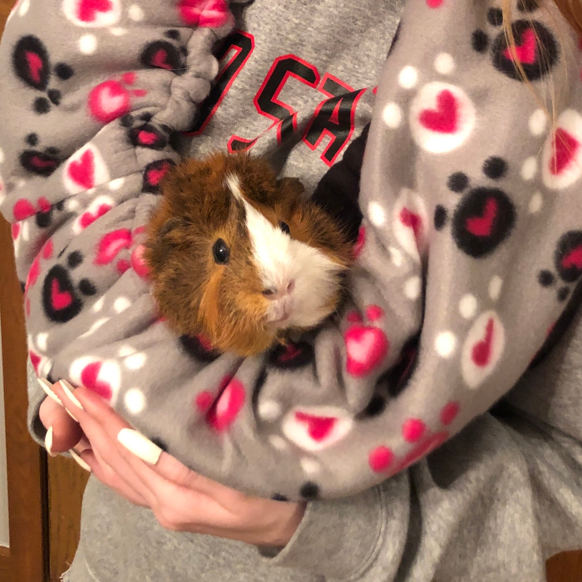 Guinea pig top carrier sling