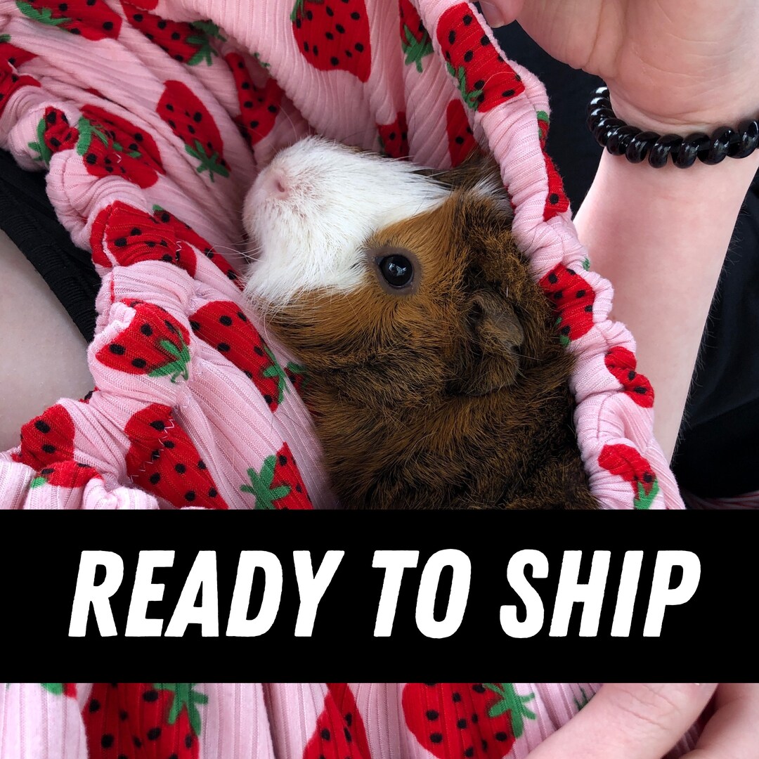 Guinea Pig Sling, Waterproof Bonding Scarf, Guinea Pig Accessory