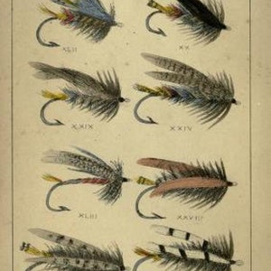 May include: A vintage illustration of eight salmon flies, each with a different color and pattern. The flies are labeled with Roman numerals and the text "PLATE I. SALMON FLIES."