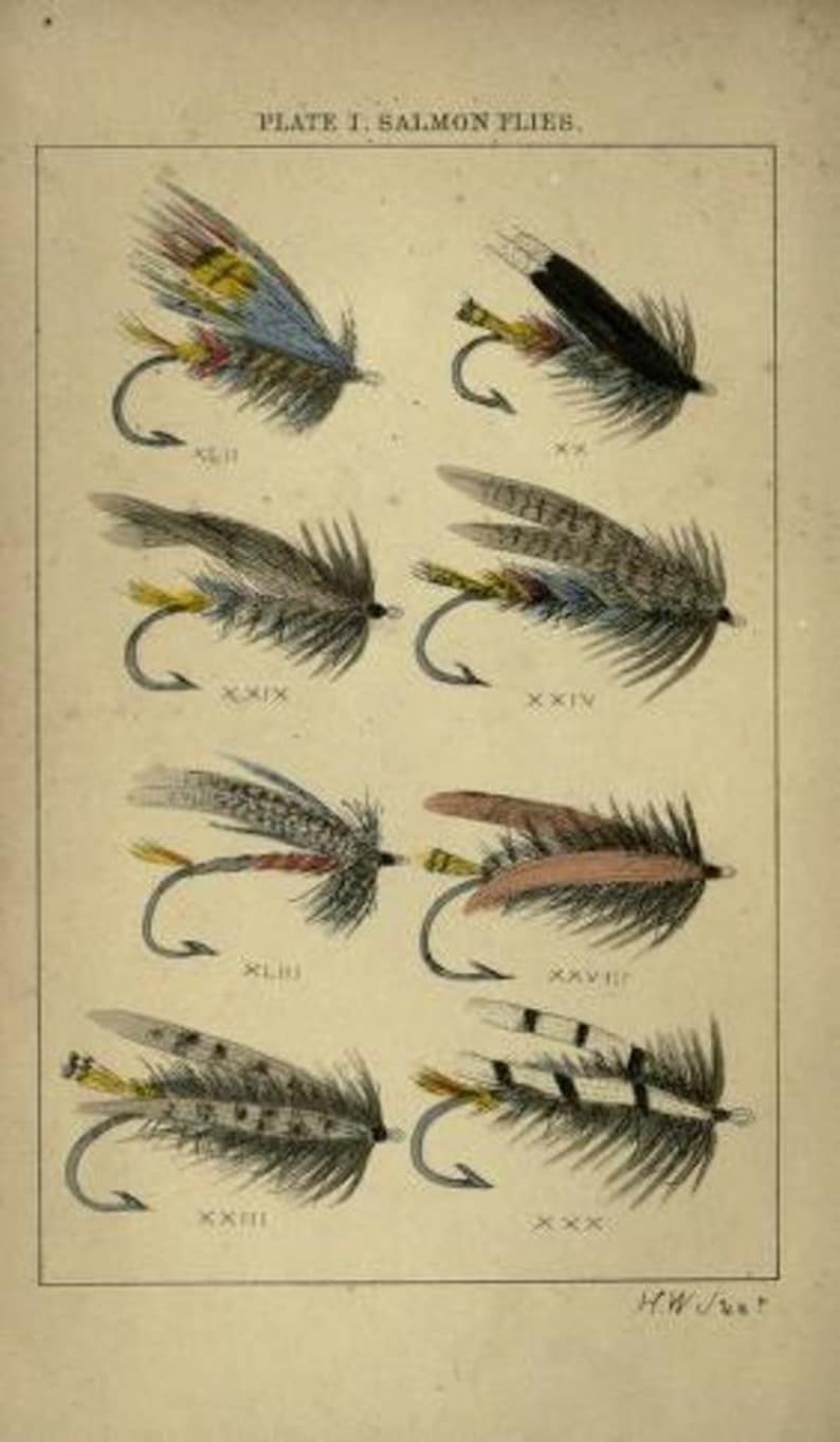 May include: A vintage illustration of eight salmon flies, each with a different color and pattern. The flies are labeled with Roman numerals and the text "PLATE I. SALMON FLIES."
