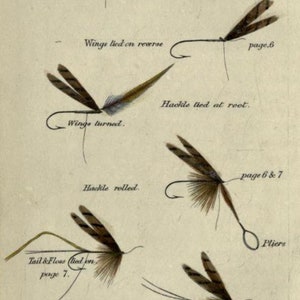 May include: A vintage illustration showing the steps to tie a fly for fly fishing. The illustration shows a fly tying hook with different stages of the fly being tied. The text in the image reads "An Easy Method to Make the Trout Fly." and "Blacker's Fly-Making."