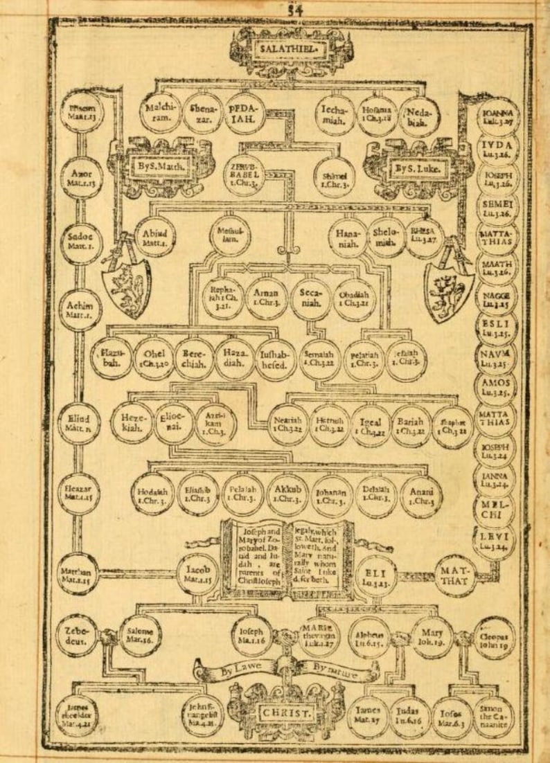 May include: A black and white genealogical chart showing the lineage of Jesus Christ. The chart is organized in a tree-like structure with names and biblical references.