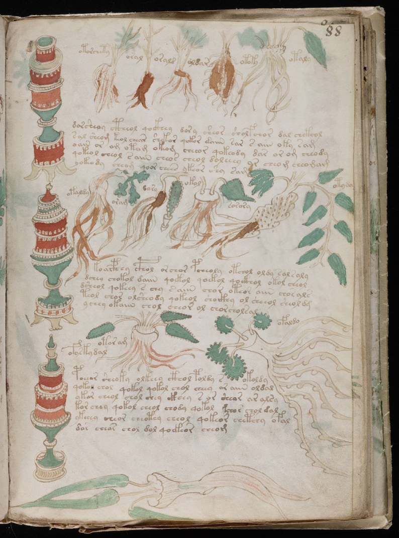 May include: A page from a medieval manuscript with illustrations of plants and their roots. The text describes the properties of the plants. The page is decorated with green, red, and brown colors.